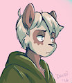 Dandi