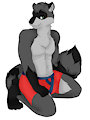 coon underpants by SirTori