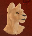 Young lion