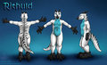 Rithuld Suit Ref by CurioDraco