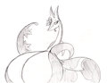 Duchess sketch