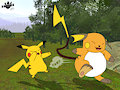 Raichu Beefs