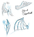 Wings Practice