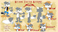 Kitami ref sheet