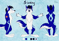 Bluey Reference Sheet