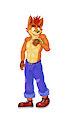 Crash Bandicoot
