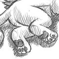 Mythology Griffin Pet by ForeRest