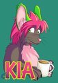 Kia Badge