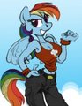 MLP:FiM - Rainbow Dash by KingCheetah by WolfNanaki