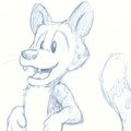 Jas Rough Reference