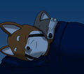 Good Night