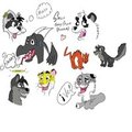 Random Toony draws