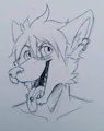 Balasch Doodle, by Aisha by Balasch