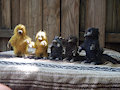 New Pics of Old Figurines