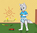 Playing With My Toy Car