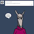 ASK BONNIE & CO 48