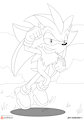 Silver Shadow