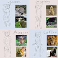 Special Type of Adoptables (Read Description)