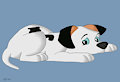 Sad Lucky