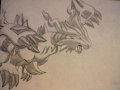 Reshiram 