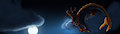 Ryuunu Banner - Ravena [night]