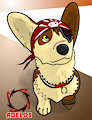 Abelos the Pirate Dog