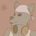 Headphones