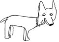 English Bull Terrier for Nikki