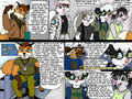 Follow the fox, his pretty tail says college is good!