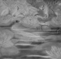 Collab - Water Lillies  by Swagtail