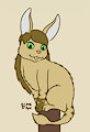 Feral Acchan