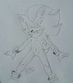 SHADOW 