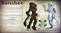 2016 Ref - Banshee