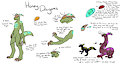 Honey Dragons species ref