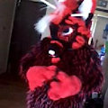 Fursuit pics