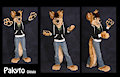 My Fursuit !