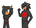 Sin the Hedgehog