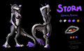 Storm Ref SFW by Rydenan