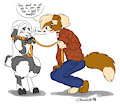 Levvi gets a guiding paw