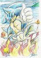 Happy Birthday Sonic!!!