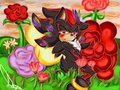 Bautiful nature -Rose- by daniellemaidana