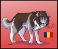 Dogtalia OC: Romania -trade-