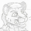 MFF 15 Stuff - Sketch by Tim Weeks