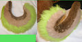 Fearrow Custom Tail by YenriStar