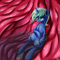 Nova inside somepony else