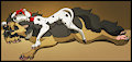 Sleep Time -Commission-