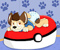 Try to catch me!