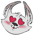 *C*_Funny fennec faces