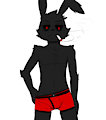 New brief by CoalRabbit