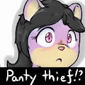 Alleged Panty Thief